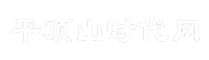 平顶山时代网